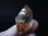 画像2: ガネーシュヒマール・ヒンドゥン産ゴールデンヒーラー水晶（ウオータークリア） 16.7g (2)