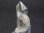 画像2: ノルウェー産クリア水晶（マニフェステーション） 4.3g (2)