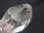 画像2: インドヒマラヤ・パルギ産ウォータークリア水晶アナテース付き/ルチル入り 27.8g (2)