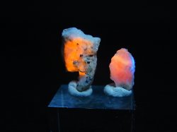 画像2: ツグツパイト（タグトゥパイト）原石 2点セット トータル 1.4g