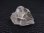 画像1: 福島県蛍鉱山産カラーレスフローライト原石（強蛍光） 5.1g (1)