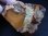 画像2: ベトナム・タインホア産アクアマリン結晶付き原石（粘土鉱物/オパライズドカルセドニー） 170.5g (2)