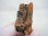 画像1: マラウイ産パリサイト＆水晶原石 32.1g (1)