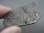 画像1: アルタイ鉄隕石（オクタヘドライト） 16.2g (1)
