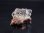画像1: メキシコ産蛍光ハイアライトオパール原石 5.6g (1)