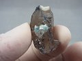 ベトナム・タインホア産アクアマリン付きスモーキー水晶 7.7g