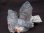 画像1: 山東省産グリーン＆スモーキー水晶（水亜鉛銅鉱/斜長石付き） 408.0g (1)