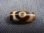 画像1: 「三眼」（ドラゴンライン入り）至純（現代）天珠 直径約13.5×29mm (1)