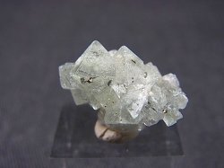 画像1: 猪倉大成鉱山産パイライト付きグリーンフローライト原石 2.9g