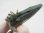 画像1: ガネーシュヒマール・リー産クローライト入り水晶（貫入り） 11.6g (1)