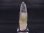 画像1: 水晶峠バッタリ鉱山産角閃石入り水晶ポイント 7.2g (1)