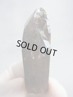 画像1: ベトナム・タインホア産アクアマリン柱状結晶付きスモーキー水晶 21.1g