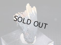 画像1: ブラジル・バイーア産タイチンゴールドルチル&ヘマタイト原石 1.5g