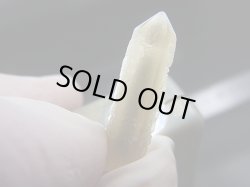 画像1: 内モンゴル産角閃石/ヘデンベルガイト入り水晶原石（トラピチェ） 1.7g