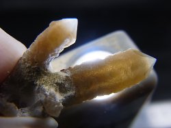 画像1: 内モンゴル産角閃石/ヘデンベルガイト入り水晶原石（ツイン/トラピチェ） 2.5g