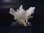 画像1: 山梨県竹森産水晶クラスター（ソリューション型） 5.6g (1)