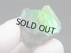 画像1: カナダ・アルバータ産アンモライト原石 10.7g
