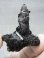 画像1: 広西チワン族自治区産インターフェレンス（ブラックトルマリン）水晶 19.9g (1)