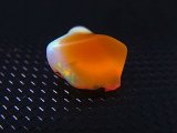 エチオピアンオパール研磨原石 4.0カラット