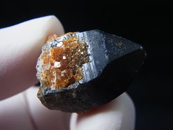 画像2: 福建省産スペサルティンガーネット付きスモーキー水晶原石 8.9g