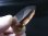 画像2: マラウイ・ムランジェ産クリアスモーキー水晶 14.7g (2)