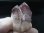 画像1: 南ア・オレンジリバー産ヘマタイトファントム水晶 27.0g (1)