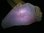 画像2: 南アフリカ産多面体水晶（ポリヒドロイドクオーツ） 75.1g (2)