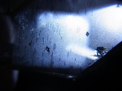 画像2: ノルウェー産ライトスモーキー水晶ポイント（アナテース外部付着/内包） 22.4g