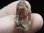 画像1: インド・マニハール産ウォータークリア水晶（クローライト入り） 6.1g (1)