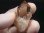 画像1: インド・マニハール産ウォータークリアライトスモーキー水晶（ゴールドルチル入り） 15.9g (1)