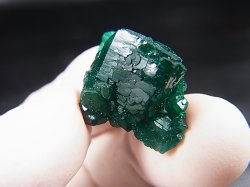 画像1: コンゴ産ダイオプテーズ原石（大粒結晶） 7.0g