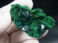 コンゴ産ダイオプテーズ原石（大粒結晶） 20.0g