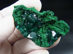 画像1: コンゴ産ダイオプテーズ原石（大粒結晶） 20.0g