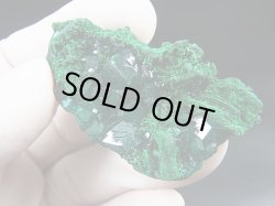 画像1: コンゴ産ダイオプテーズ原石（大粒結晶） 20.0g