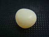 和田玉（ホータンぎょく）「羊脂白玉」オリジナルビーズ 約15.5×14×10.5mm