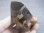 画像2: 山東省産モリオン（黒水晶） 211.3g (2)