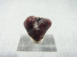 画像1: フィンランド産アルマンディンガーネット双晶原石 3.1g