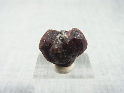 画像2: フィンランド産アルマンディンガーネット双晶原石 3.1g