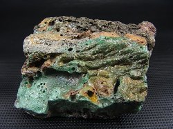 画像1: スウェーデン産グリーンスウェディッシュスラグ 221.9g
