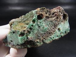 画像2: スウェーデン産グリーンスウェディッシュスラグ 221.9g