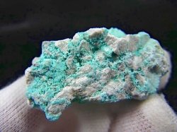 画像2: イラン産ターコイズ原石（天然トルコ石/含浸無し） 13.1g