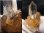 画像2: ノルウェー産コッパールチル入りスモーキー水晶原石（連晶） 10.4g (2)