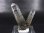 画像1: ノルウェー産連晶水晶（アクチノライト/ヘマタイト入り） 7.5g (1)