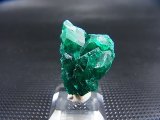 コンゴ産ダイオプテーズ原石（大粒結晶） 7.7g