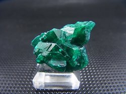 画像2: コンゴ産ダイオプテーズ原石（大粒結晶） 7.7g