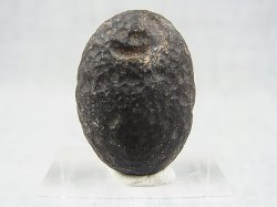 画像2: コロンビア・キンディオ産コロンビアナイト原石 8.1g