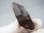 画像2: フィンランド・リプシニエミ産モリオン（黒水晶/ケアンゴーム） 26.7g (2)