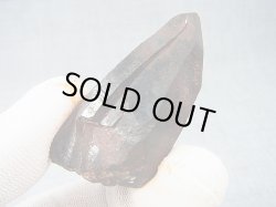 画像2: フィンランド・リプシニエミ産モリオン（黒水晶/ケアンゴーム） 31.9g