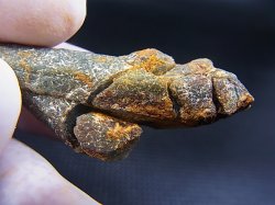 画像2: 柿野産緑水晶（ヘデンベルガイト/緑閃石入りインターフェレンス型） 10.8g