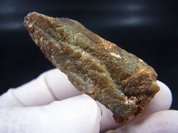 画像1: 柿野産緑水晶（ヘデンベルガイト/緑閃石入りインターフェレンス型） 24.6g
